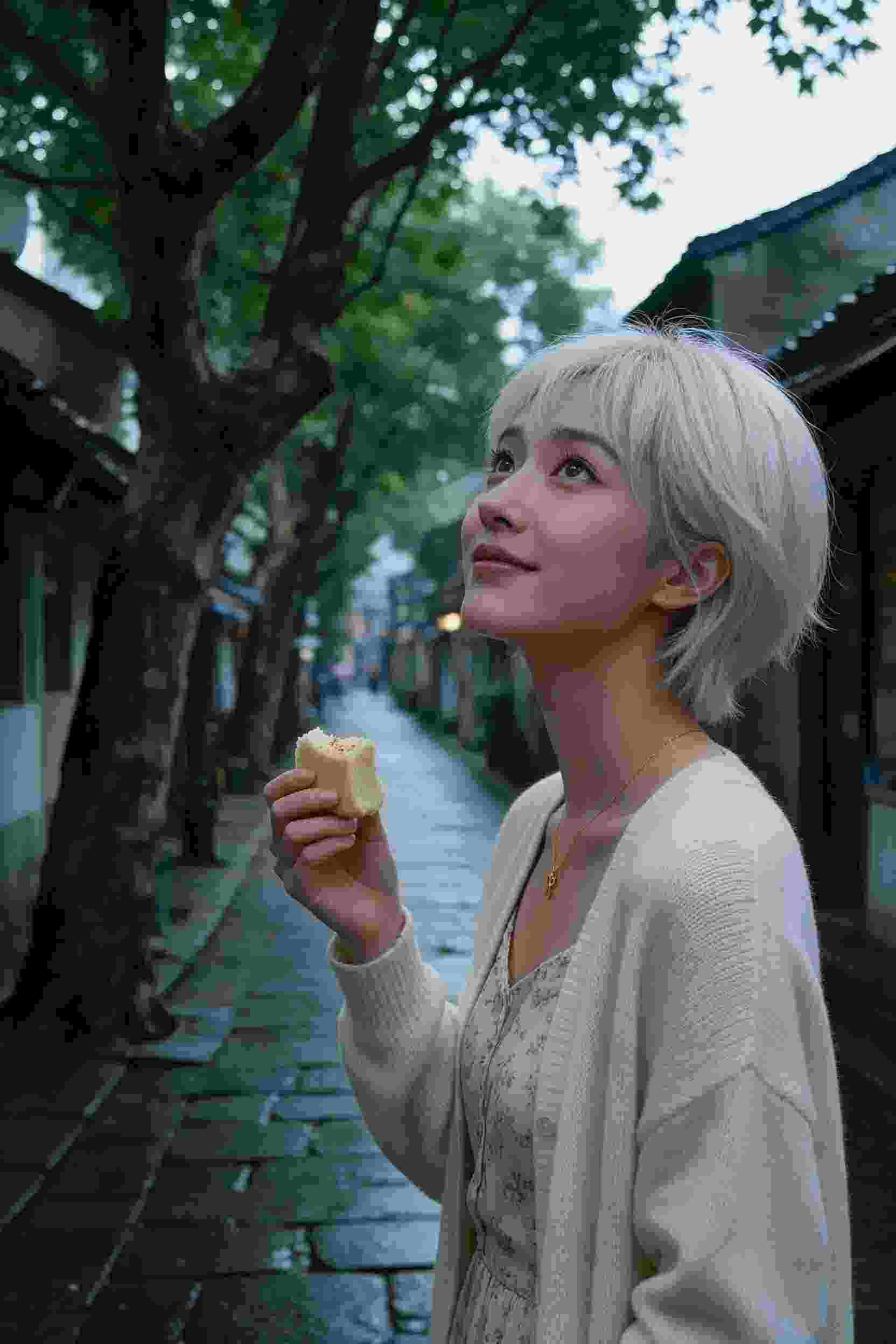 短剧观看入口